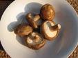 Image of Black Mushrooms