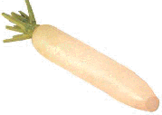 Daikon