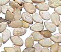 Sesame Seeds