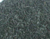 Wakame