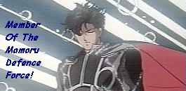 The Mamoru Defense Force