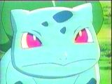 bulbasaur_screen.jpg (4892 bytes)