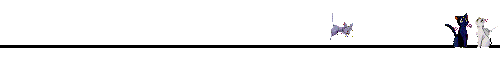 catsline.gif (2179 bytes)