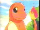 charmander_screen.jpg (4778 bytes)