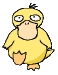 Psyduck's Corner!