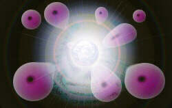 Cell (23k)