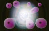 cell