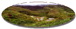 Banaue Rice Terraces