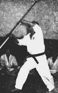 Seiichi AKAMINE 8o Dan