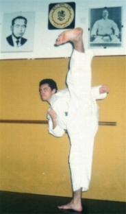 sokuto yoko gueri jodan