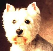 pet021.jpg (7434 bytes)