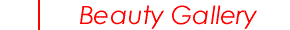 Beauty Gallery