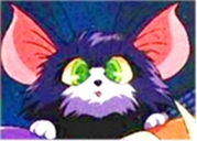 dpkitty.jpg