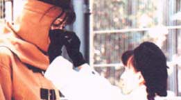 scene1.jpg