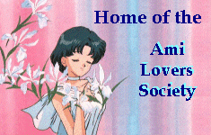 Ami Lovers Society