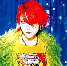 Hide