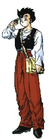 Son Gohan (again)