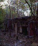 Jason's Home in the Woods