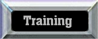 kajira training