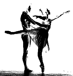 rbdib26.gif 3kb