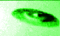 UFO!!!!!