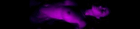 Animiertes Banner 69 - 16k - Klick to see Sponsors Page