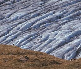 glacier crevasses