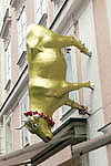 wall walking cow...