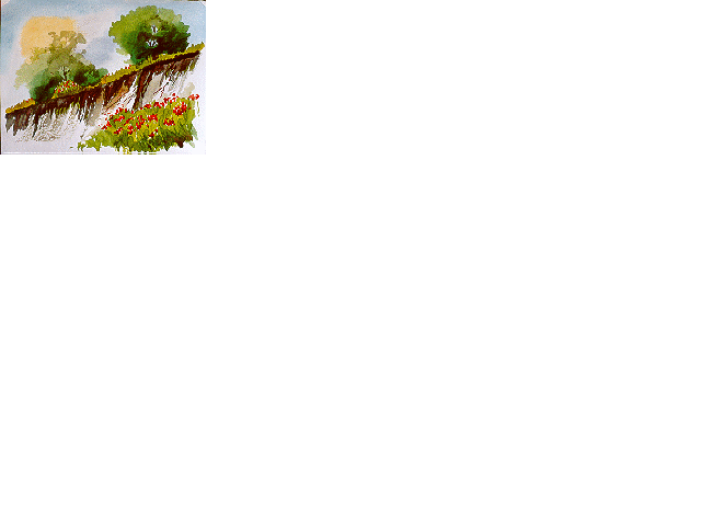 aql9801.gif