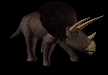 Triceratops