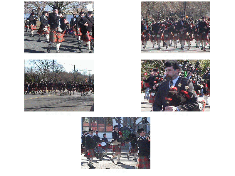 Pictures from the Belamr Parade