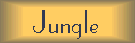 Jungle