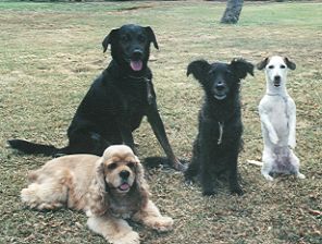 Good friends