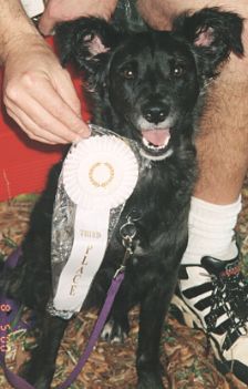 Third place