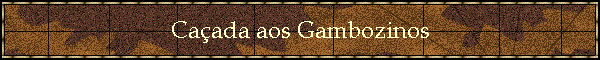 Ca�ada aos Gambozinos