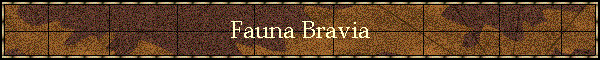 Fauna Bravia