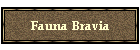 Fauna Bravia