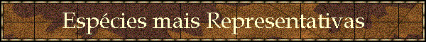 Esp�cies mais Representativas