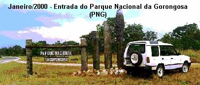 APONTAMENTO E IMPRESSES SOBRE  UMA BREVE VISITA AO PARQUE NACIONAL DA GORONGOSA