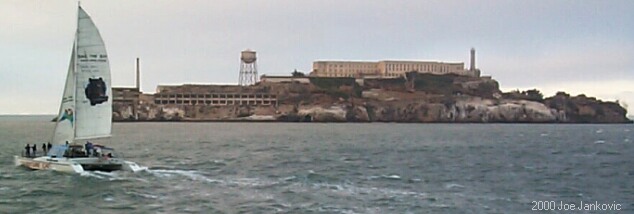 Catamaran Near Alcatraz