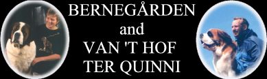 Bernegrden and Van 't Hof ter Quinni