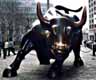 bull