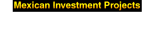BASIC GUIDE FOR FOREIGN INVESTORS