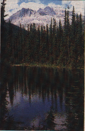 a landscape