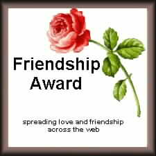 Friendship Award