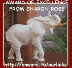 Excellence Award