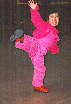 SGONGFU.gif (27836 bytes)