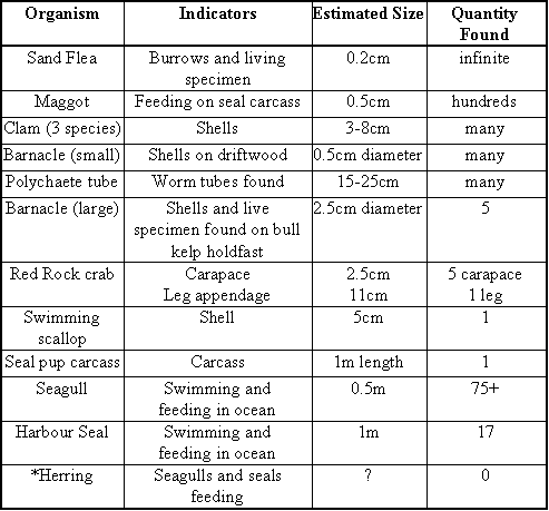 Table 3