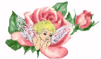 Angel in a Rose