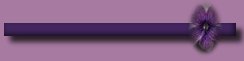 divider bar